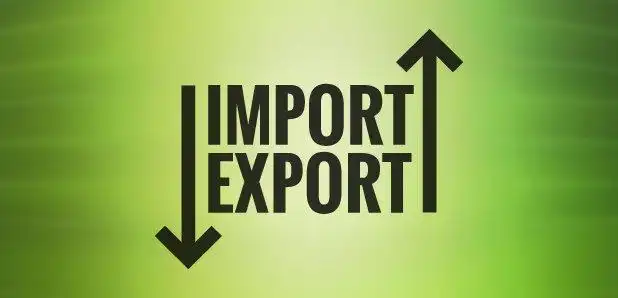 Import expert services for freight forwarder companies in dubai