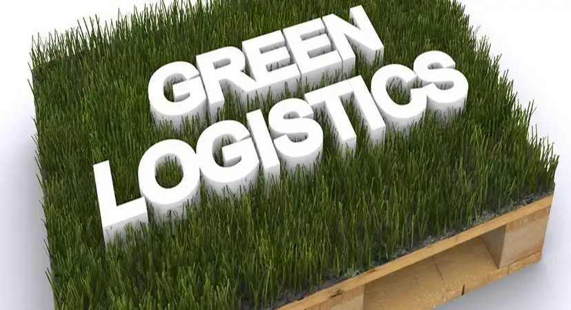 Picture of the word "green logistics" mentioned on grass for dubai logistics company